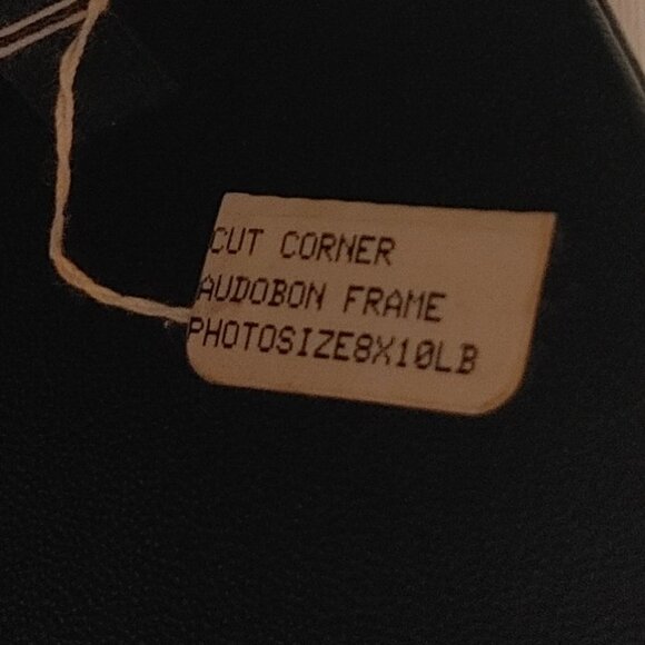 Tiffany & Co. STERLING SILVER PICTURE FRAME 8 x 10 Cut Corner Audubon - Picture 13 of 16